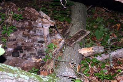 Tree fall took off the end of one of the wood piles