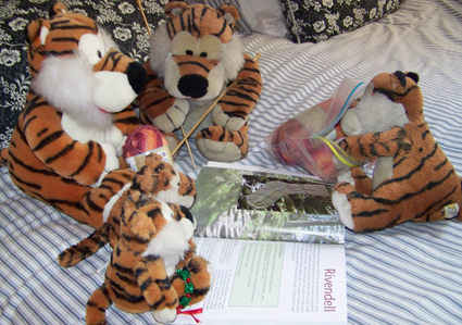 Photo of stuffed tigers trying to figure out a sock pattern book